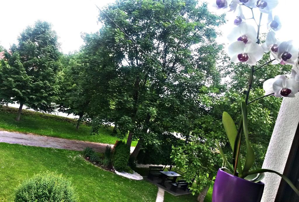 Apartment Lipa Irinovac Pokój zdjęcie