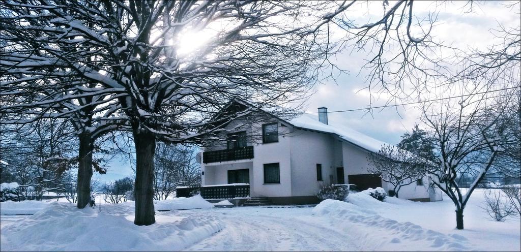 Apartment Lipa Irinovac Pokój zdjęcie